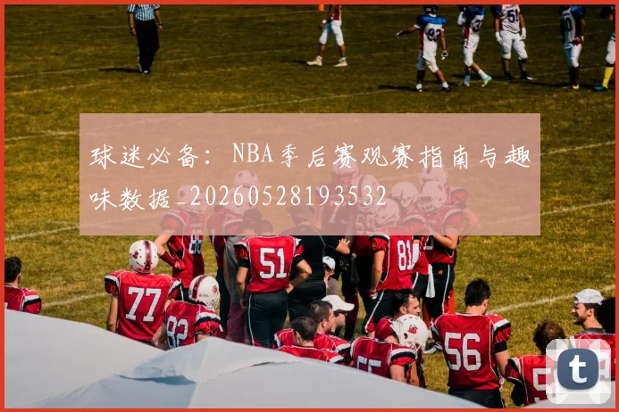 球迷必备：NBA季后赛观赛指南与趣味数据_20260528193532